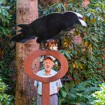 Ron Adcock - @ron_adcock - Instagram