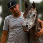Ron aharon arabian horses 🐎 - @ron_arabian - Instagram