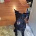 Ron Andersen - Facebook