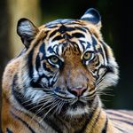 Ron Andersen - @rwandy6255 - Instagram