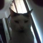 Ron Angle - @ron.angle.58 - Instagram