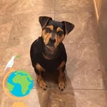 Ron Appelt - @ron.appelt - Instagram