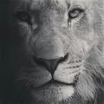 Ron Archer - @ron_archer - Instagram