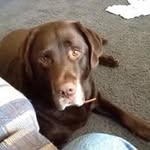 Ron Archer - @arch727727 - Instagram