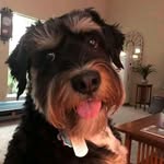 Ron Baggett - @ron.beggett.94 - Instagram
