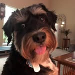 Ron Baggett - @kinrw70867 - Instagram