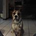 Ron Baker - Facebook