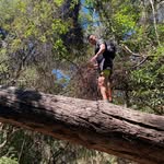 Ronald Barboza Zúñiga - @ronbarbozaz - Instagram