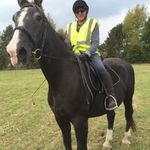 Ron Batchelor - @ronbatchelor - Instagram