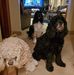 Ron Bates - Facebook