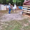 Ron Batiste - @ron.batiste - TikTok