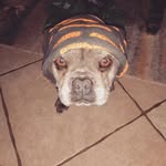 Ron beardsley - @ron_beardsley65 - Instagram