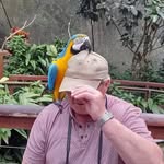 Ron Beaton - @beatonron - Instagram