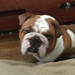 Ron Beauchamp - Facebook