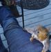 Ron Belanger - Facebook