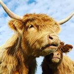 Ron Bergh - @ronbergh - Instagram