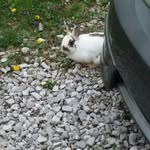 ron best - @ronbest690 - Instagram
