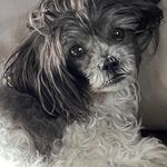 Beverly-Ron Ward-Moser - @beverlyronwardmoser - Instagram