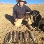 Ron Bishop - @ronbi_shop - Instagram