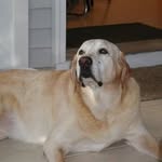 Ron Bishop - @ron.bishop.902 - Instagram