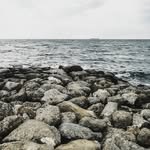 Ron Bishop - @ronbishopbishop - Instagram
