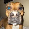 BoganLaron - @boganlaron18 - TikTok
