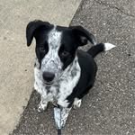 Ron Bolender - @ronbolender - Instagram