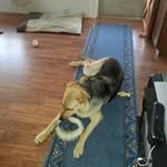 Ron Booth - @ron.booth - Instagram