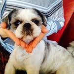 Ron Borst - @ron.borst.9 - Instagram