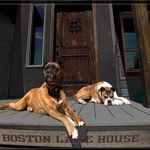 Ron Boston - @boston5177 - Instagram