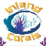 Ron Boyer - @inlandcorals - Instagram