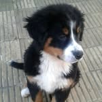 Ron - @ron.boyero - Instagram