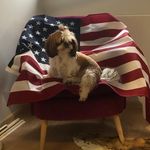Ron Brandt - @ronbrandt8 - Instagram
