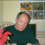 Ron Brandt - @ronbrandt28 - Instagram