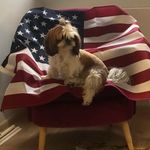 Ron Brandt - @ron0412 - Instagram