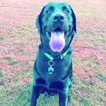 Ron Brister - @ronjonbrister - Instagram