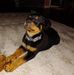 Ron Broyles - Facebook