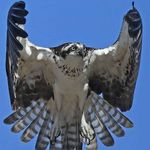 Ronald Bruggeman - @ronaldb.026 - Instagram