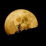 ron buck - @buck.ron - Instagram
