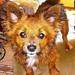 Ron Buckner - @bucknerron - Instagram