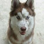Ron Bunch - @ron.bunch.395 - Instagram