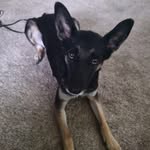 Ron Castle - @reccer55 - Instagram