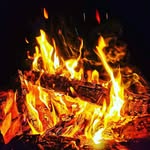 Ron Castle - @ronin_castle - Instagram