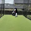 ronsoncastle - @ronsoncastle - TikTok