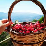 Ron Champion - @ronchampion64 - Instagram
