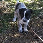 Ron Chaney - @chaney_ron - Instagram