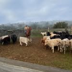 Ron Chaney - @rwc44 - Instagram