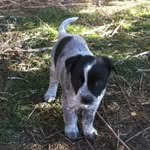 Ron Chaney - @ronchaney6 - Instagram