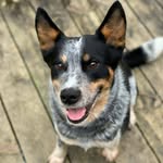 Ron Cheesman - @ron_cheesman - Instagram