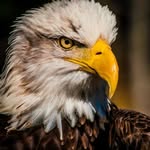 Ron Church Jr - @ron.church28 - Instagram